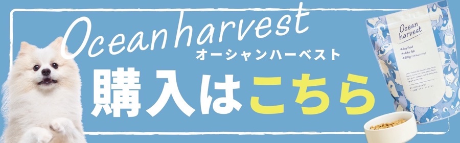 オーシャンハーベスト 購入はこちら
